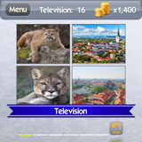 Cougar Town 